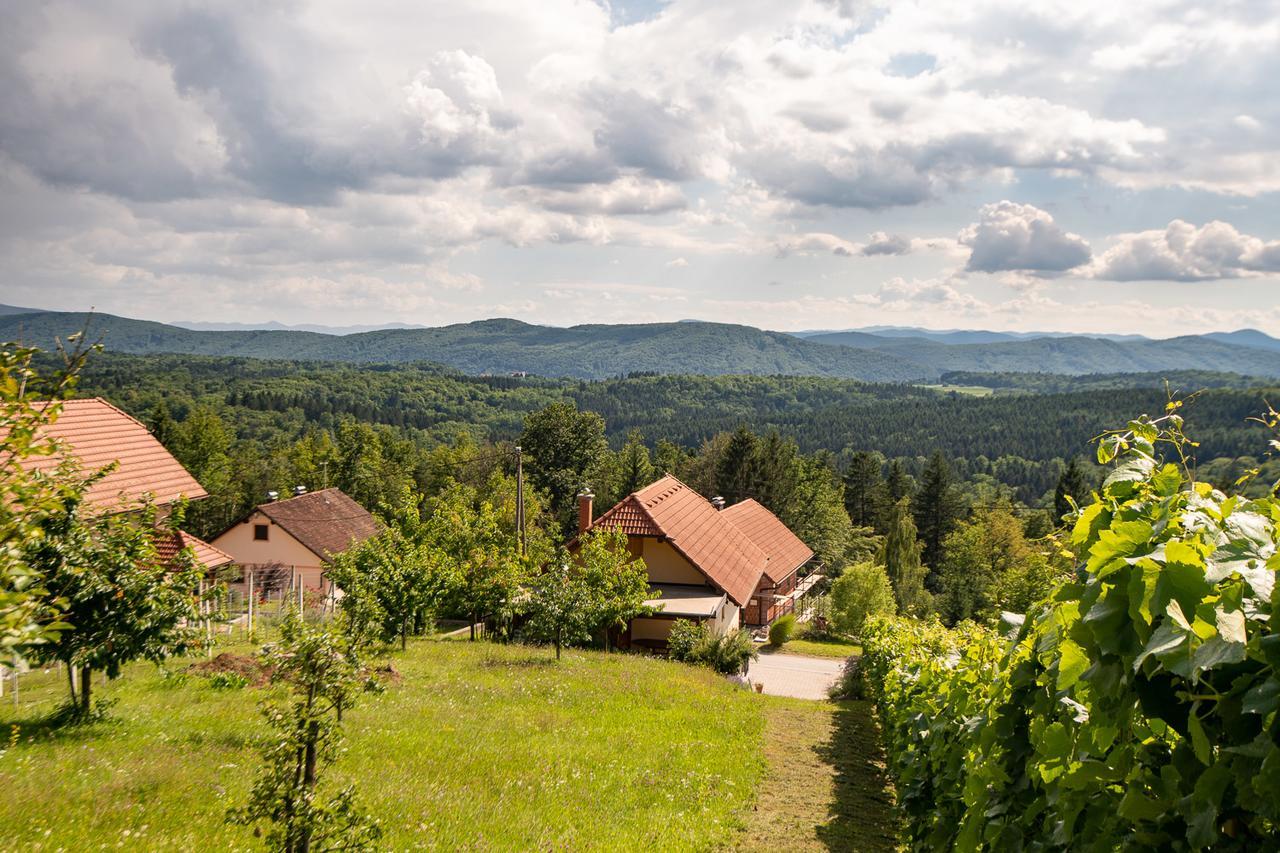 Vineyard Cottage Pod Piramido Dobrnic Exterior photo