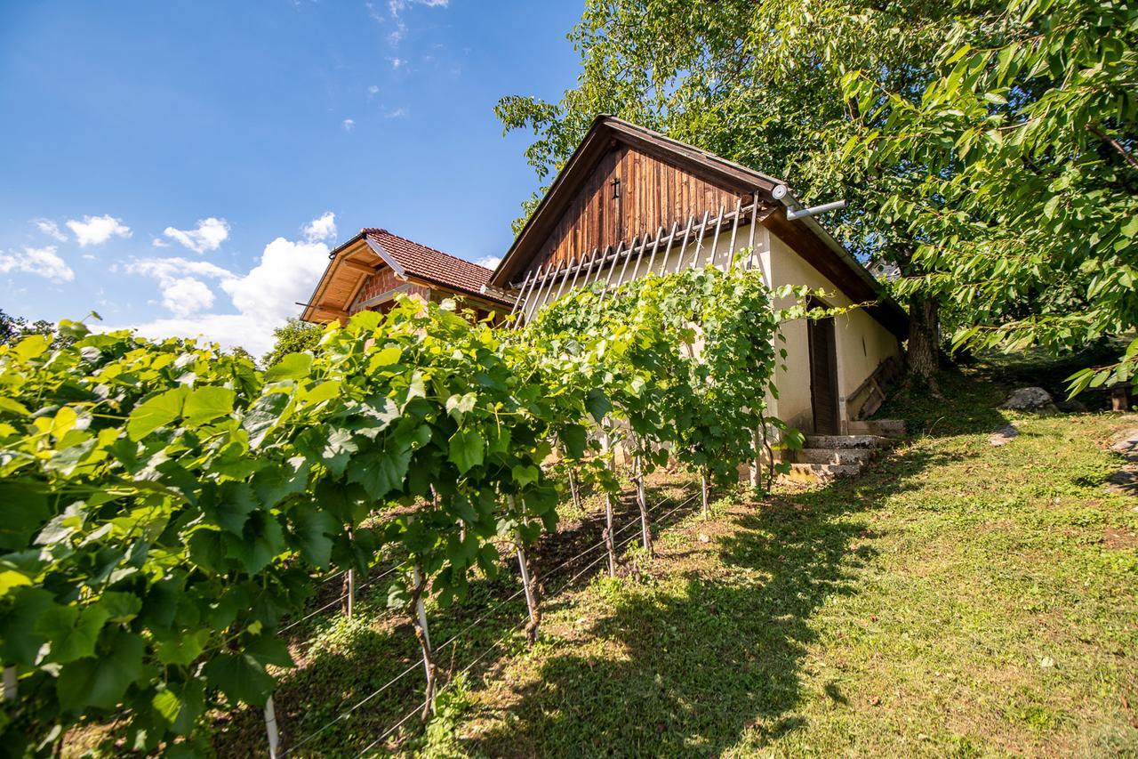 Vineyard Cottage Pod Piramido Dobrnic Exterior photo